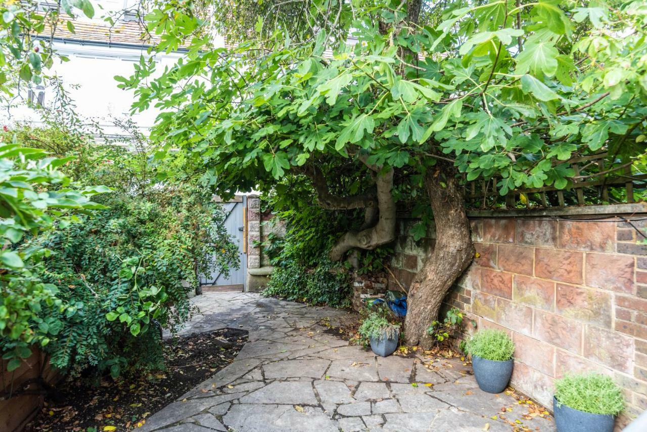 Birch At Ship St Gardens Brighton Exterior foto
